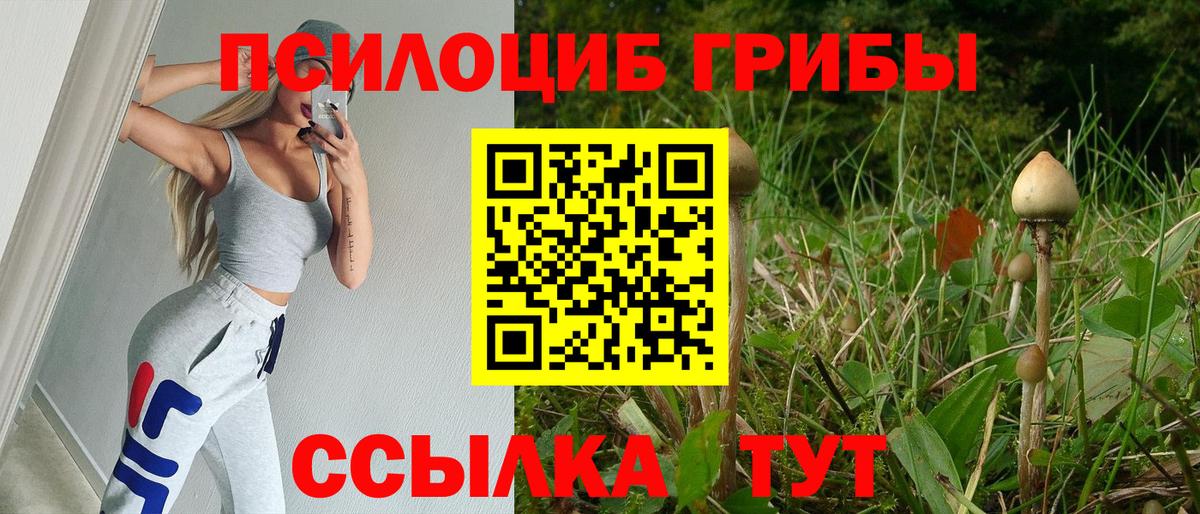 Галлюциногенные грибы мицелий Семёнов