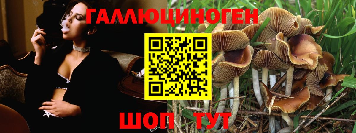 Семёнов  Галлюциногенные грибы ЛСД  Вход с VPN 
